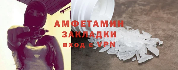 крисы Бородино