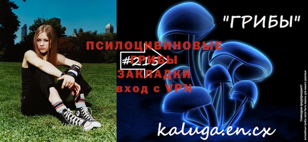 дмт Белокуриха