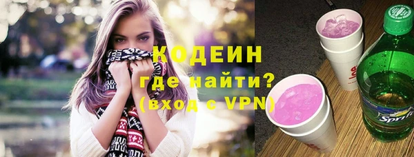 крисы Бородино
